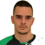 M. Gordić