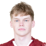 F. Panarin