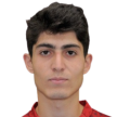 L. Bashoyan