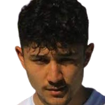 Ö. Gül