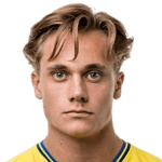 M. Larsen