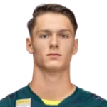S. Hamzić