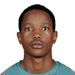 M. Ndlovu
