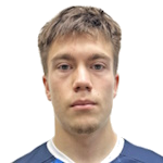 N. Ermolaev