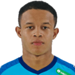 Pedro Henrique