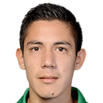 Cristian Paul Haro Soto