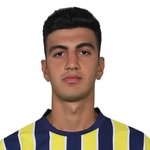 Y. Demir