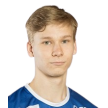 V. Nikulainen