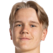 M. Ojanen