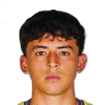 C. Vela