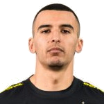 N. Bahoui