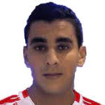 H. Ghattass
