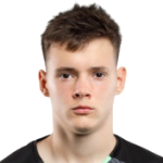 D. Fesyuk