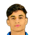 Mohamed Zidan
