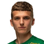 V. Katrych