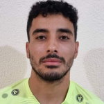 أنس نجاح