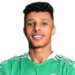 Ahmed Eid Abdel Naby