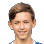 Tarik Brkic