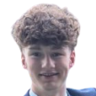 C. Bird