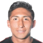 Diego Fernando Angles Quispe