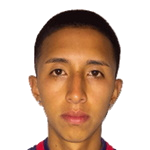 Rodrigo Gary Vilca Betetta