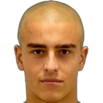M. Bachev