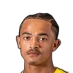 L. Mullarkey-Matthews