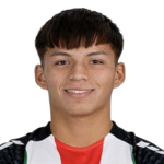 B. Araneda