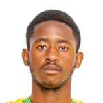 T. Buthelezi
