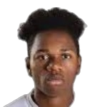 D. Ndembo-Michel