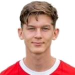 Y. van den Ban