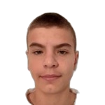 D. Iskrić