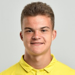 V. Gizhevskiy