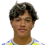 Francis Castillo-Orellana