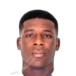 R. Ndjiki
