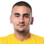 S. Nedić