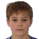 N. Godec