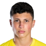 Daniel Budesca