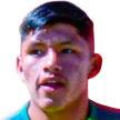 R. Saigua
