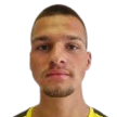 D. Rajic