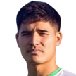 U. Iehara