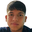 D. Pereira