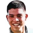 L. Gaona