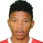 T. Potsane