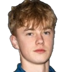 N. Fuglestad