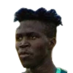 M. Bamba