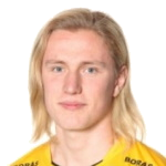 V. Götesson