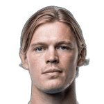 H. Andersson