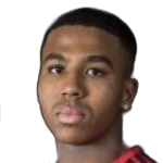 N. Perry