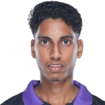 N. Naik
